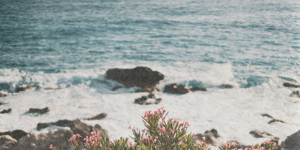 Scent of a Continent: How Australian Perfumery Rewrites Fragrance History