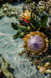 Gardens of Memory: Decoding the Floral Language of Australian Perfume