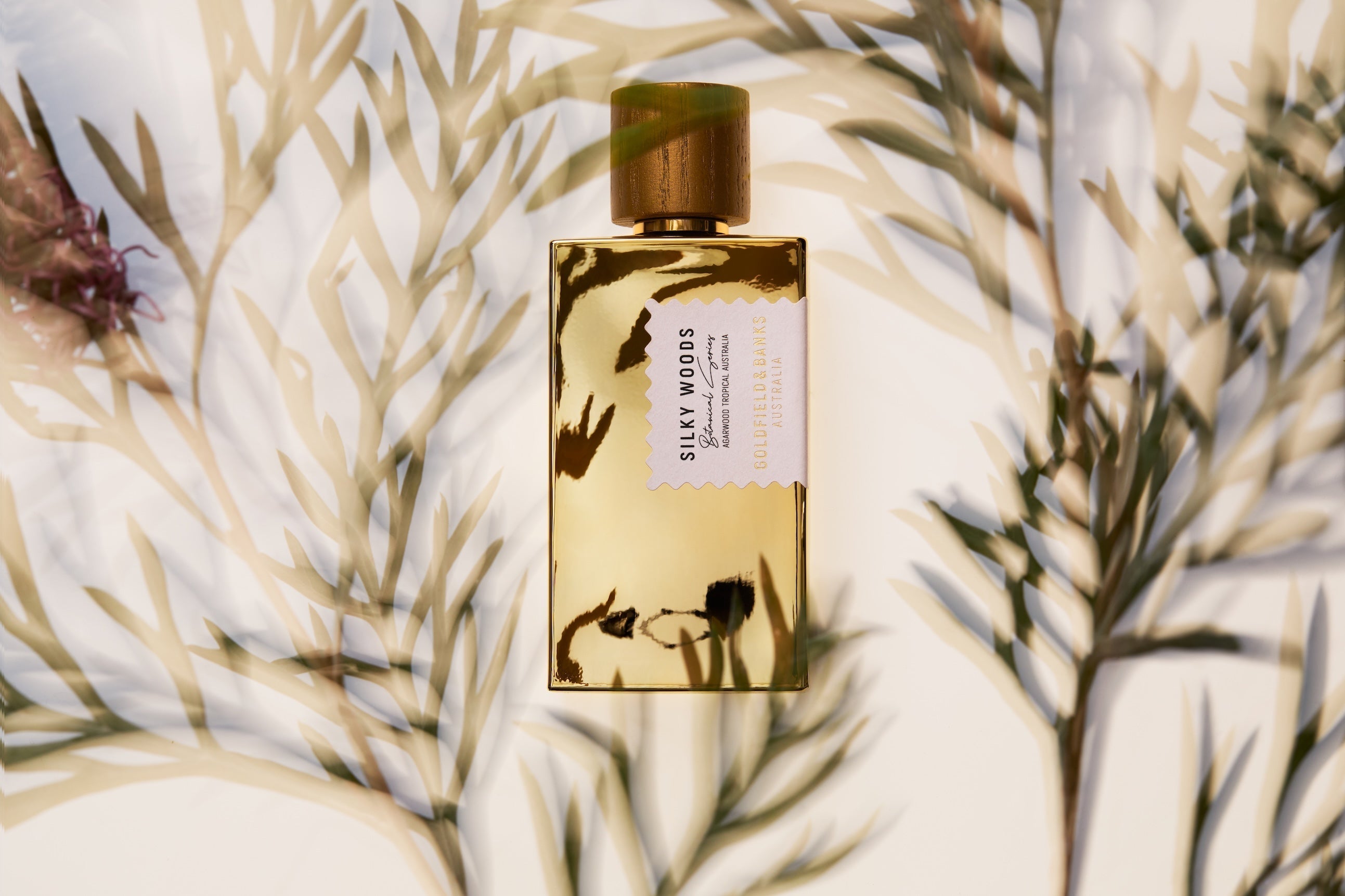 Silky Woods Eau de Parfum bottle by Goldfield & Banks Australia surrounded by natural foliage and soft sunlight, showcasing the luxury fragrance inspired by the Australian landscape.
